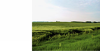 Weitesfeldt GmbH Berlin und Brandenburg